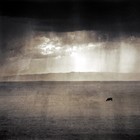 Picture for song 'RainClouds (Prod. by Sean Cannister)' by artist 'ChillZone Beats'