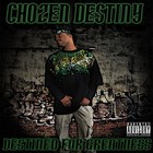 Picture for song 'Des Is Here (alternate version)' by artist 'Chozen Destiny'