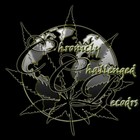 Picture for song 'FEEL GOOD MUZIK - INFAMOUS feat. MANIK & DRASTIC' by artist 'CHRONICLY CHALLENGED RECORDS'