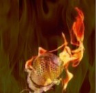 Picture for song 'WARR MOVMENT' by artist 'CHRONICLY CHALLENGED RECORDS'