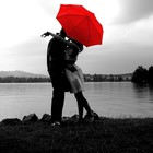 Picture for song 'Love Me Like You Do ($.99 Demo DL)' by artist 'CHUCK DIESEL'