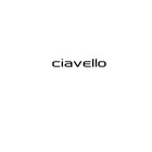 Picture for song 'I Guess' by artist 'ciavello'