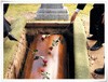 Picture for song 'When I'm Gone' by artist 'Composer Chick'