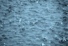 Picture for song 'rain drops' by artist 'corndogbeats'