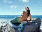 Picture for song 'THE BLUE DREAM' by artist 'Cosmoogony'