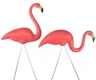 Picture for song 'PINK FLAMINGO.mp3' by artist 'cow7sig morta platoon'