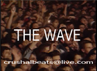 Picture for song 'The Wave' by artist 'Crushal Beats'