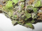Picture for song 'Hype Mega-blend Freestyle' by artist 'Crystal Trees'