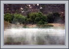 Picture for song 'Mist Fog Haze (updated)' by artist 'Crystal Trees'