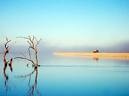 Picture for song 'The Oasis' by artist 'DabDab Music'