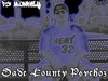 Picture for song 'I Had To Do It' by artist 'Dade County Psychoz'