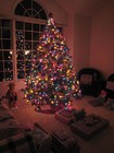 Picture for song 'Christmas Morning' by artist 'Dan Bressler'