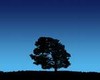 Picture for song 'deep blue sky' by artist 'dangerous youth'