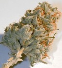 Picture for song '0007' by artist 'Dank Beats'