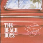 Picture for song 'We Don't Care' by artist 'Dante Cope'