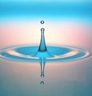 Picture for song 'Stille Wateren' by artist 'Dantoe'
