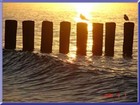 Picture for song 'Ob ihr es wollt oder nicht' by artist 'Da'Scyple Style'