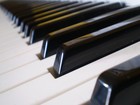 Picture for song 'Nutty Piano' by artist 'Dat Volatile Kid'