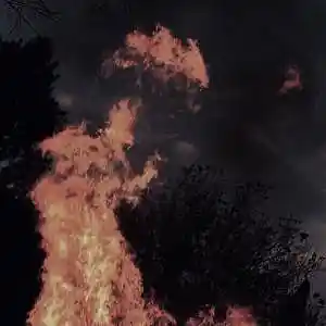 Picture for song '$crim X SuicideBoyS X Bones Type Beat (BUY 1 GET 2' by artist 'DatWay'