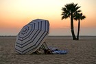 Picture for song 'Island Love' by artist 'Dcall'