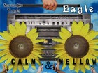 Picture for song 'Calm 'n' Mellow' by artist 'Dee Eagle (new)'