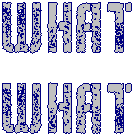 Picture for song 'What What!' by artist 'Dee Eagle (new)'