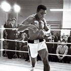 Picture for song 'Muhammad Ali (lil Wayne Type)' by artist 'D-Elite (Production Team)'