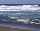 Picture for song 'Thoughts of Summer' by artist 'Diane'