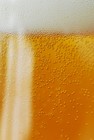 Picture for song 'Ein Bier mit Roland K.? ( Satire ) ' by artist 'DieFreundeDSL'