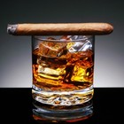 Picture for song 'Cigarz On Ice' by artist 'digitalbeatz.com'