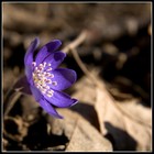 Picture for song 'OUTRO (As It Is)' by artist 'DiLo Hip Hop'