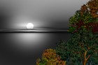 Picture for song 'Hello Flow' by artist 'Dino Pacifici'