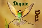 Picture for song 'Diquie Dox - Birdy flutter' by artist 'Diquie Dox'