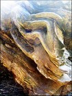 Picture for song 'Can I Awsome (pre)' by artist 'DirectNonkonformObjectiv'