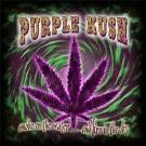 Picture for song 'KuSh ft russo' by artist 'dizzy-j (us) (us)'