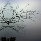 Picture for song 'Rorschach 1' by artist 'DJ Chiyo'