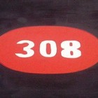 Picture for song '*HOT*308' by artist 'DJ Erick Jaimez'