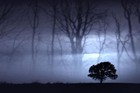 Picture for song 'Twisted Face' by artist 'DJ Hectic'