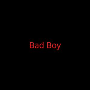 Picture for song 'Bad Boy [YG x Tyga x Migos Type Beat]' by artist 'DJ Mauri B'