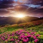 Picture for song 'Wav-E - The Perfect Sunrise' by artist 'Branko Stojanovski'