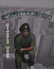 Picture for song 'Last Dayz' by artist 'DJ Scripturez'