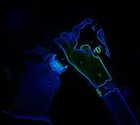 Picture for song 'You Know You (KaRmA SuTrA Mix)' by artist 'DJ Teixeira'