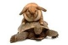 Picture for song 'GOING SOMEWHERE SLOW - Beats Going Nowhere Fast' by artist 'Dr. Bob's Jazz - Benefit Boppin' Quartet - JBBQ'