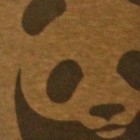 Picture for song 'Rolling Around' by artist 'Drew Man'