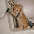 Picture for song 'Talkin To Meh' by artist 'Drumsynth'