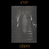 Picture for song 'untitled v' by artist 'electronic voice phenomenons'