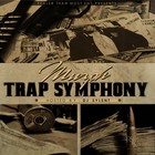 Picture for song '(Trap Symphony 3)' by artist 'Elimusic Beats'