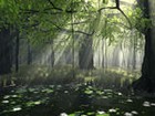 Picture for song 'Meaning' by artist 'Elle Madelyn'