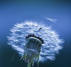Picture for song 'Time To Let Go' by artist 'Emotive Touch'