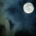 Picture for song 'Null Moon' by artist 'entee'